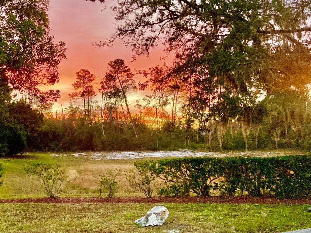 Contact River Country Estates Owners Association, Inc.